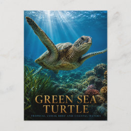 Groene Zeeschildpad Koraalrif DIEREN Briefkaart