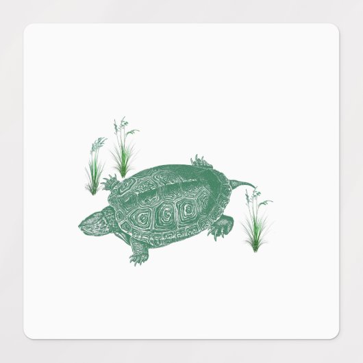 Groene zeeschildpad labels (Design 1)