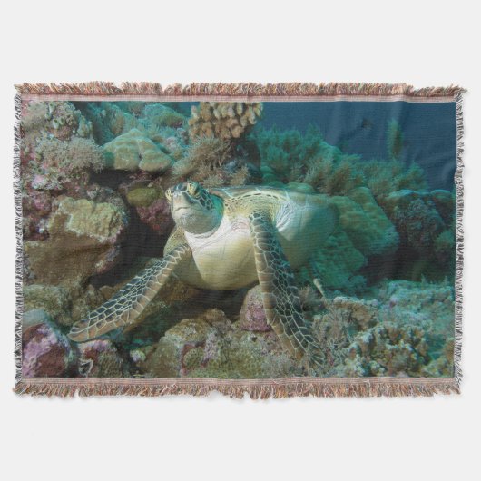 Groene zeeschildpad na rusten tussen koraalrif | deken (Voorkant)