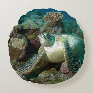 Groene zeeschildpad na rusten tussen koraalrif rond kussen