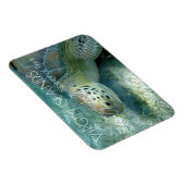 Groene zeeschildpad, Zeewieren, Virgin Islands NP Magneet (Rechterzijde)