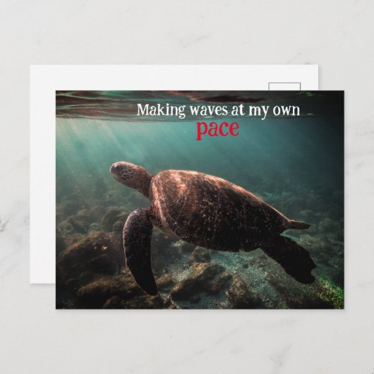 Groene zeeschildpad zwemt onder water briefkaart (Voorkant / Achterkant)