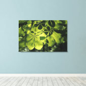 Groene zeven punten met zonlicht canvas afdruk (Insitu (Houten vloer))