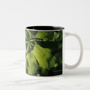 Groene zeven punten met zonlicht tweekleurige koffiemok