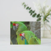 Groene zijnen briefkaart (Staand voorkant)