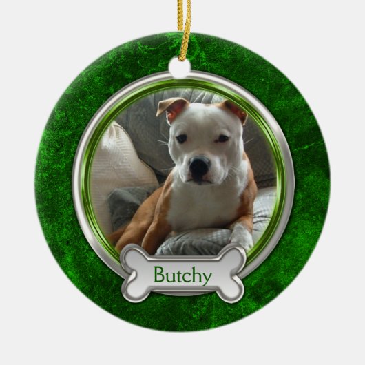 Groene Zilveren Huisdier Foto Kerst Ornament (Voorkant)