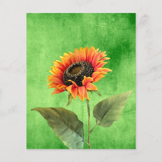 Groene Zonnebloem Trouwkaart Flyer (Achterkant)