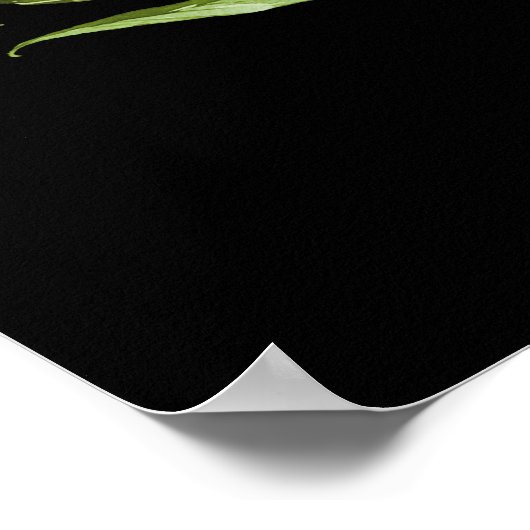 Groene zwarte botanische bruiloft Welkomstsignalen Poster (Hoek)