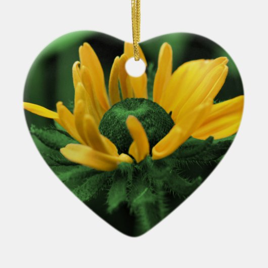 Groene Zwarte Eyed Susan Flower Ornament (Voorkant)