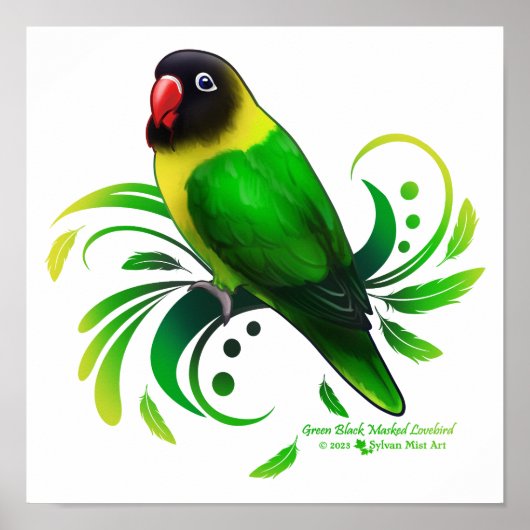 Groene zwarte Maskaap Poster (Voorkant)