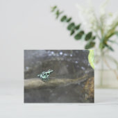 Groene & Zwarte Poison Dart Kikker # 2 Briefkaart (Staand voorkant)
