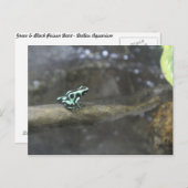 Groene & Zwarte Poison Dart Kikker # 2 Briefkaart (Voorkant / Achterkant)