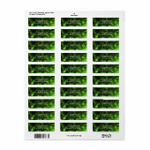 Groene & Zwarte Stippen Modern Chique Uitnodiging Etiket (Full Sheet)