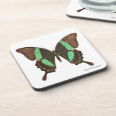 Groene Zwemstaartvlinder Bier Onderzetter (Linkerzijde)