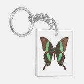 Groene Zwemstaartvlinder Sleutelhanger (Voorkant Links)