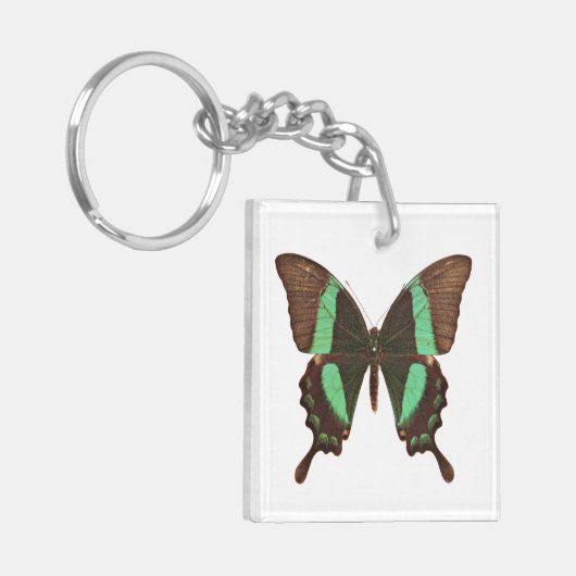 Groene Zwemstaartvlinder Sleutelhanger (Voorkant Links)