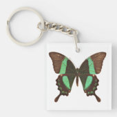 Groene Zwemstaartvlinder Sleutelhanger (Voorkant)