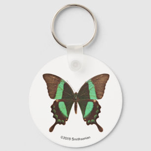 Groene Zwemstaartvlinder Sleutelhanger