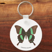 Groene Zwemstaartvlinder Sleutelhanger (Voorkant)