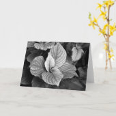 Groenen in B/W Kaart (Gele Bloem)