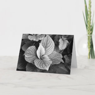 Groenen in B/W-kaart Kaart