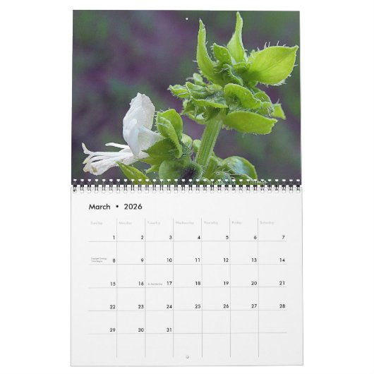 Groenen in de Natuur Kalender (Mar 2026)