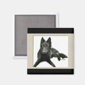 Groenendael Belgium Sheepdog Gifts Magneet (Voorkant / Achterkant)
