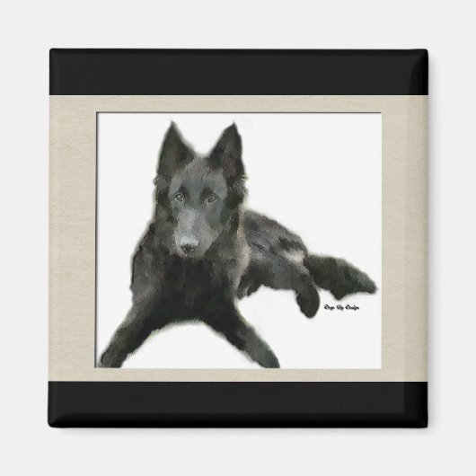 Groenendael Belgium Sheepdog Gifts Magneet (Voorkant)