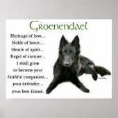 Groenendael Belgium Sheepdog Gifts Poster (Voorkant)