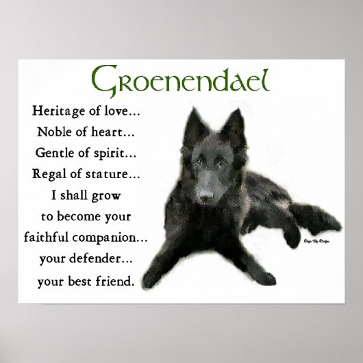 Groenendael Belgium Sheepdog Gifts Poster (Voorkant)