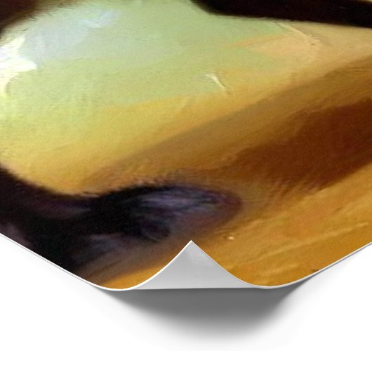 Groenendael Belgium Shepherd Dog Poster (Hoek)