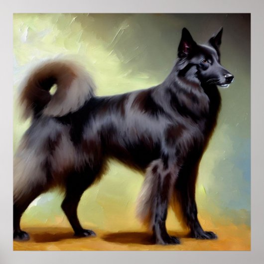 Groenendael Belgium Shepherd Dog Poster (Voorkant)