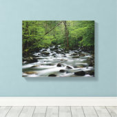 Groener gebied, Great Smoky Mountains Canvas Afdruk (Insitu (Houten vloer))