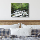 Groener gebied, Great Smoky Mountains Canvas Afdruk (Insitu (Slaapkamer))