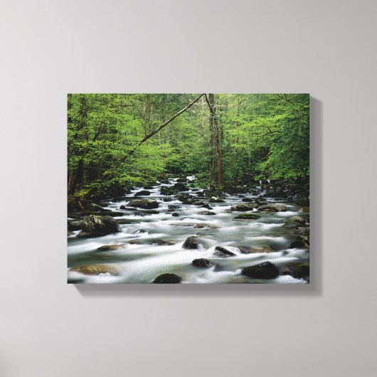 Groener gebied, Great Smoky Mountains Canvas Afdruk (Voorkant)