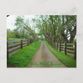 Groenere deegwaren briefkaart (Voorkant)