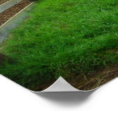 Groenere deegwaren poster (Hoek)