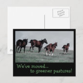 Groenere weiden... aankondigingskaart (Voorkant / Achterkant)