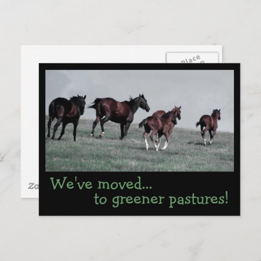 Groenere weiden... aankondigingskaart (Voorkant / Achterkant)