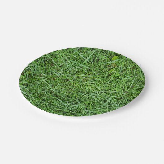 groengras papieren bordje (Gekanteld)