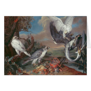 Groenland Cyr Falcons