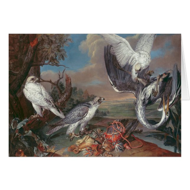 Groenland Cyr Falcons (Voorkant Horizontaal)