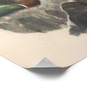 Groenland Falcon Dark Race Bird Poster (Hoek)