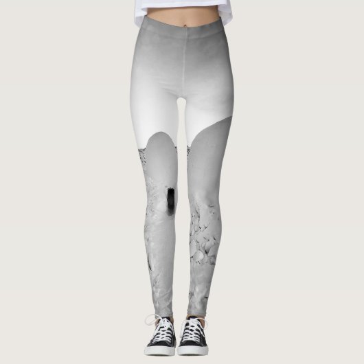 Groenland Ilulissat Igloo Exotic Pattern Leggings (Voorkant)