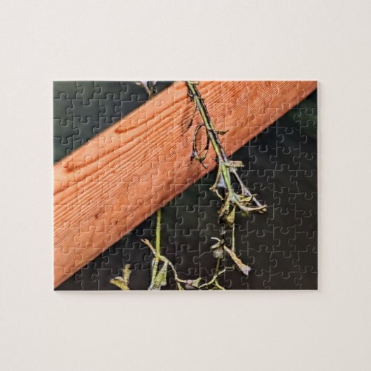 Groenland Paddle Puzzel (Horizontaal)