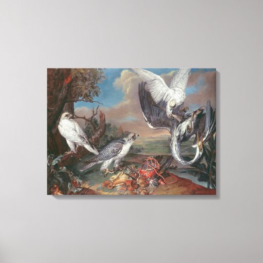 Groenlandse Cyr valken Canvas Afdruk (Voorkant)