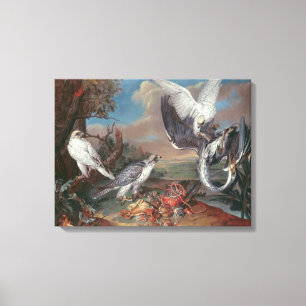 Groenlandse Cyr valken Canvas Afdruk