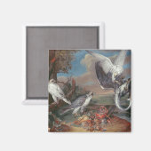 Groenlandse Cyr valken Magneet (Voorkant / Achterkant)