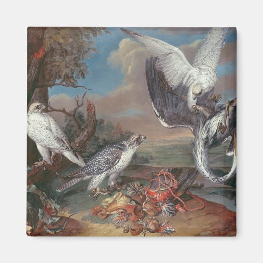 Groenlandse Cyr valken Magneet (Voorkant)