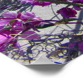 Groenlandse orkide poster (Hoek)